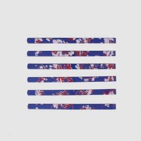 Barrettes plates Winter in...