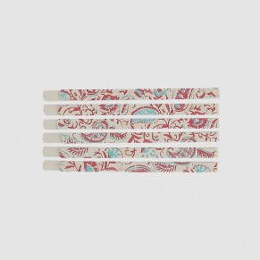 Barrettes plates Trendy Summer