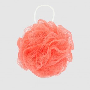 Fleur de douche classique 2