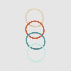 Elastiques épais couleur x14 2