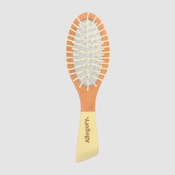 Brosse à cheveux - Petit...