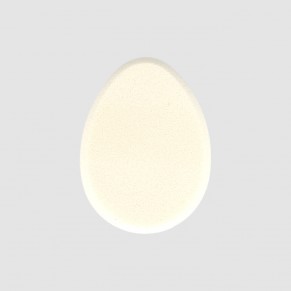 Éponge teint perfection
