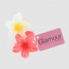 Lot de 2 pinces petites fleurs Tiare...