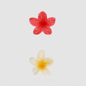Lot de 2 pinces petites... 2