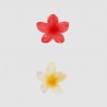 Lot de 2 pinces petites fleurs Tiare...