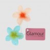 Lot de 2 pinces petites fleurs Tiare...