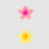 Lot de 2 pinces petites fleurs Tiare...