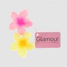 Lot de 2 pinces petites fleurs Tiare...