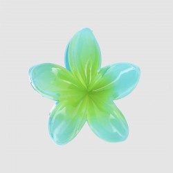Pince grand modèle fleur... 2