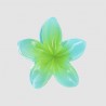Pince grand modèle fleur Tiare colorée