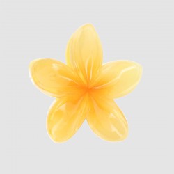 Brosse en forme de fleur de tiaré de couleur jaune, nu sans emballage, de face.