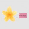 Pince grand modèle fleur Tiare colorée