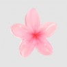 Pince grand modèle fleur Tiare colorée