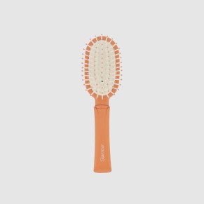Brosse petit modèle ovale... 2