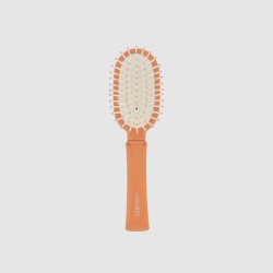 Brosse petit modèle ovale... 2
