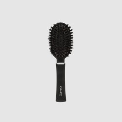 Brosse petit modèle...
